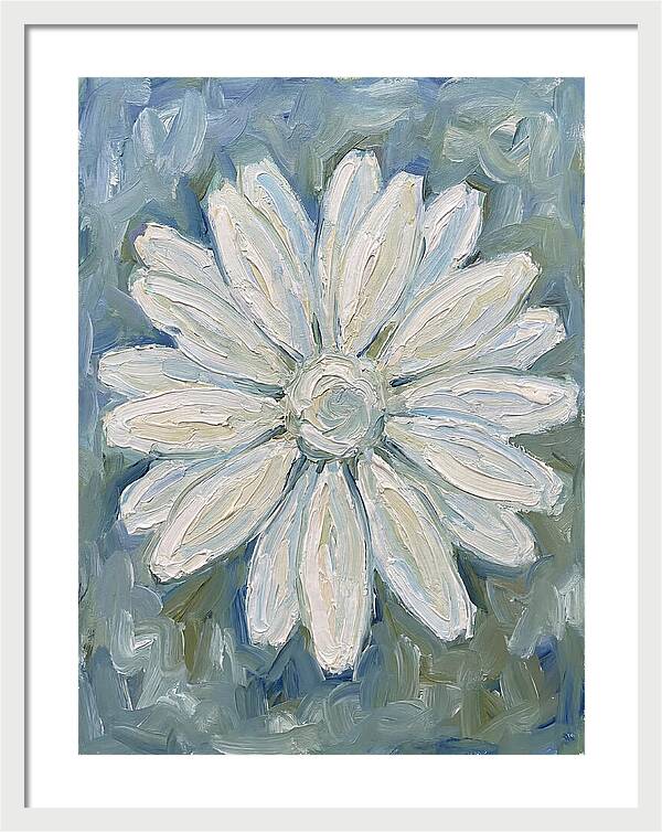 White Daisy Blossom