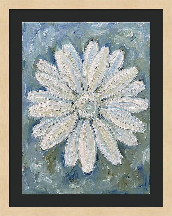 White Daisy Blossom