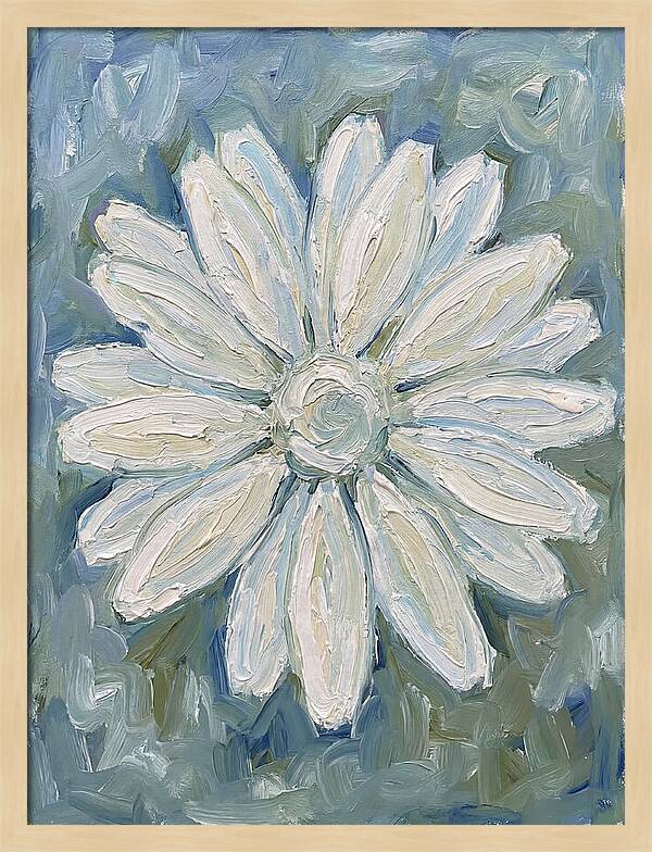 White Daisy Blossom