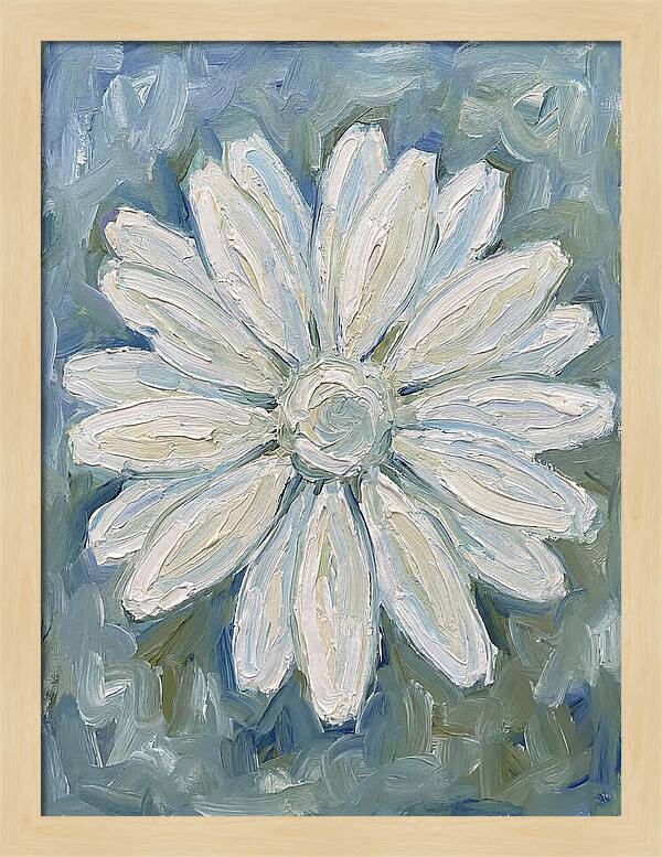 White Daisy Blossom