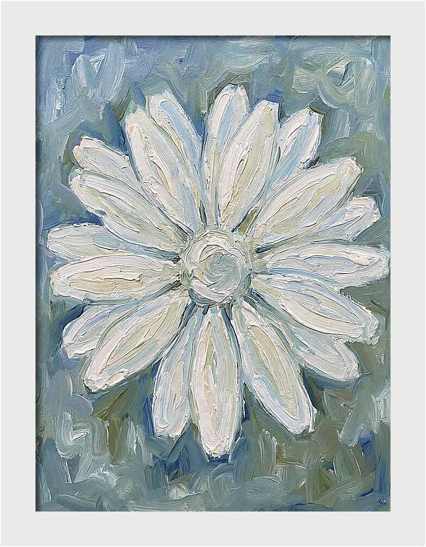 White Daisy Blossom