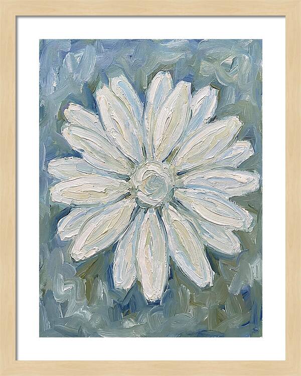 White Daisy Blossom