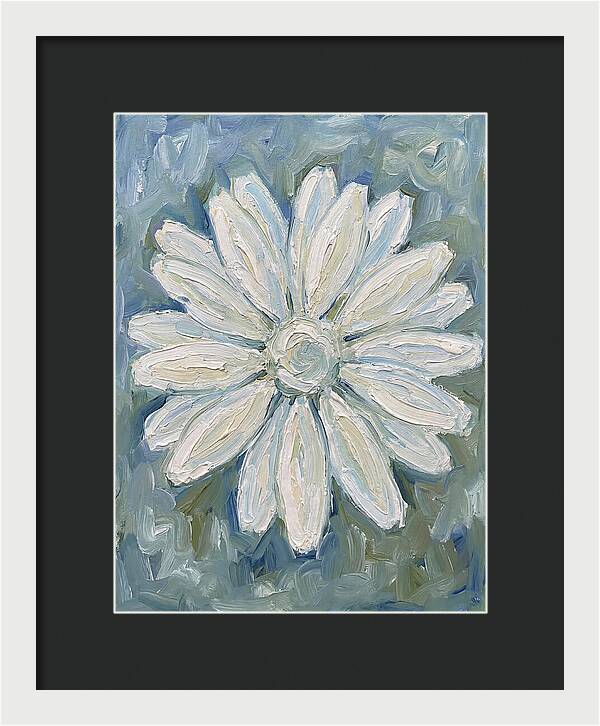 White Daisy Blossom