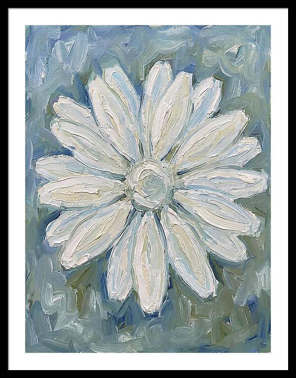 White Daisy Blossom