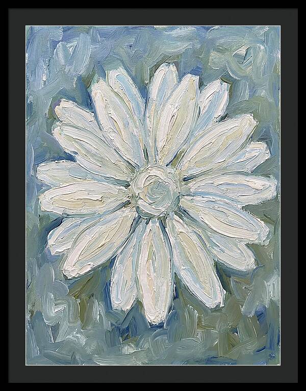 White Daisy Blossom