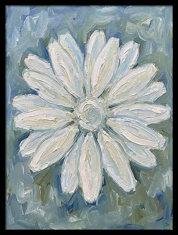 White Daisy Blossom
