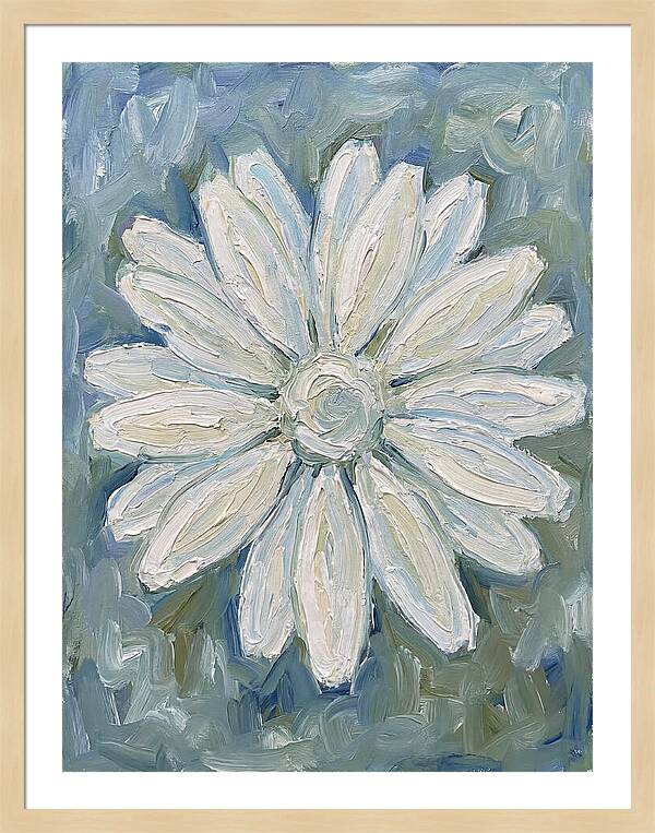 White Daisy Blossom