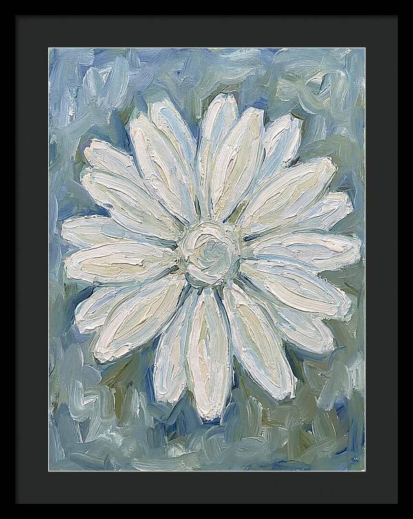 White Daisy Blossom