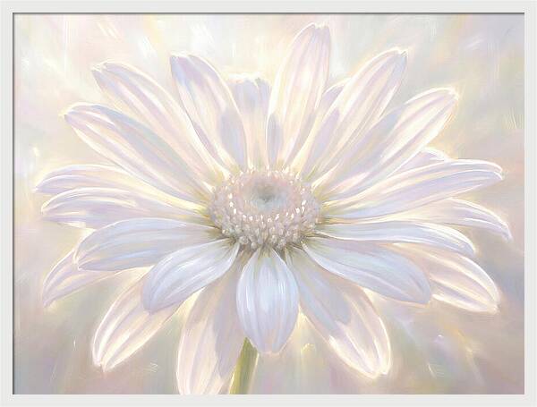 White Daisy