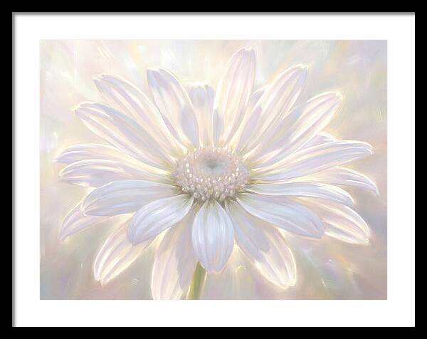 White Daisy