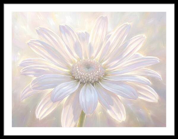 White Daisy