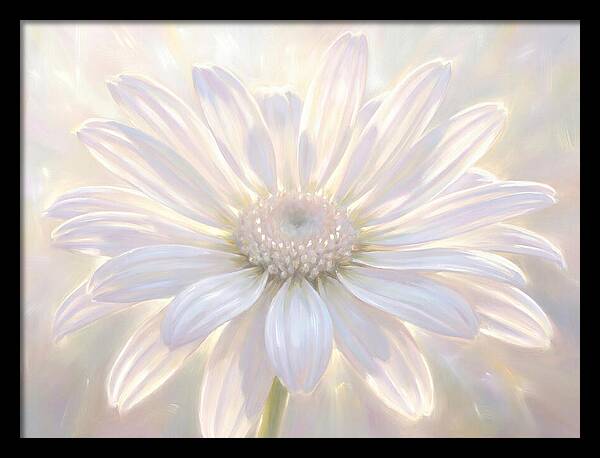 White Daisy