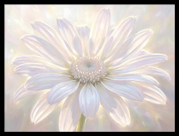 White Daisy