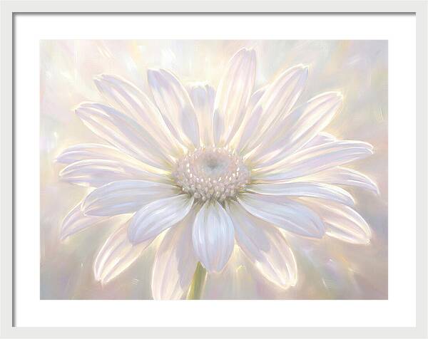 White Daisy