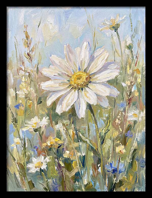 White Daisy In Bloom