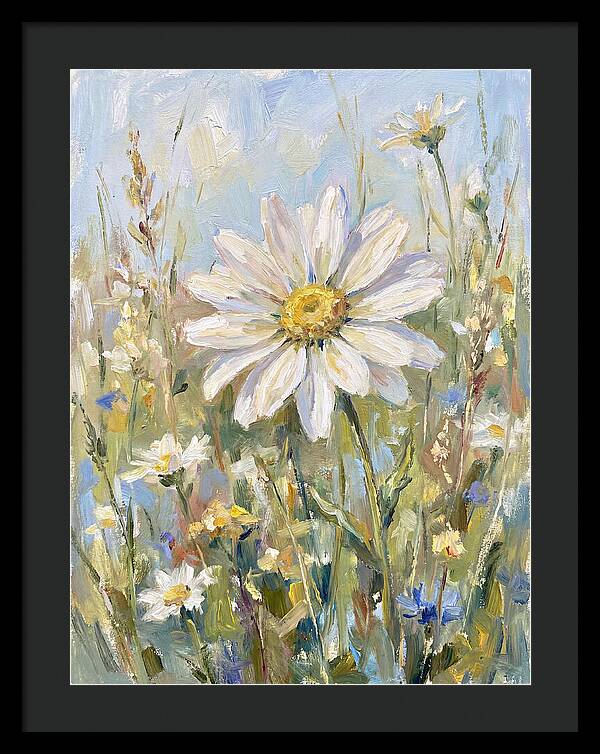 White Daisy In Bloom