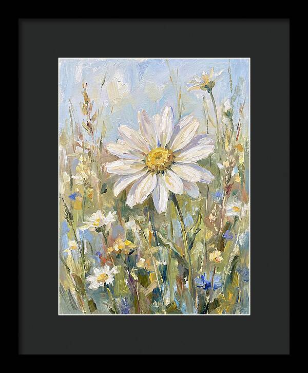 White Daisy In Bloom