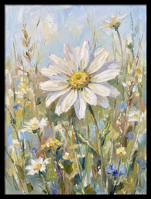 White Daisy In Bloom