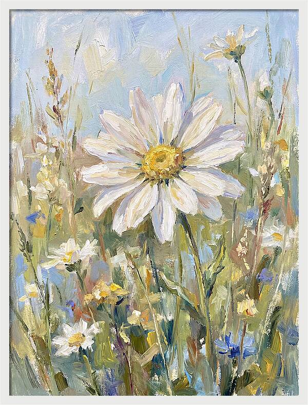 White Daisy In Bloom