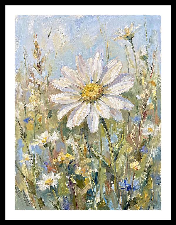 White Daisy In Bloom
