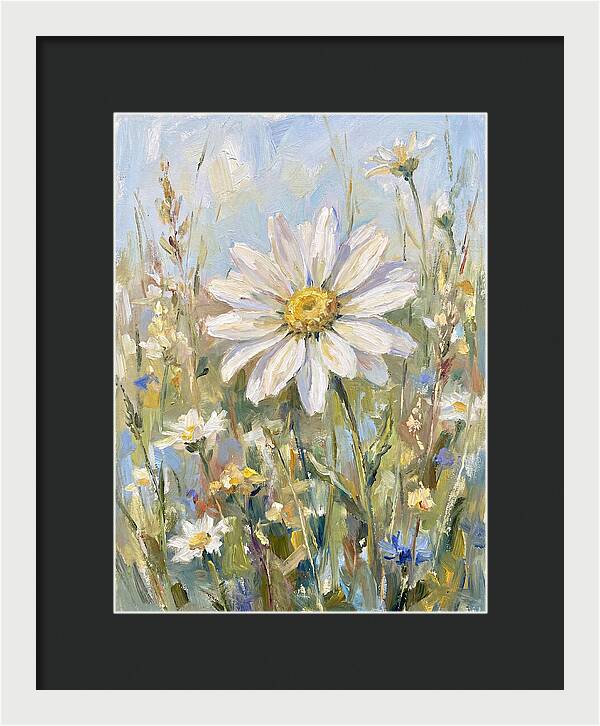 White Daisy In Bloom