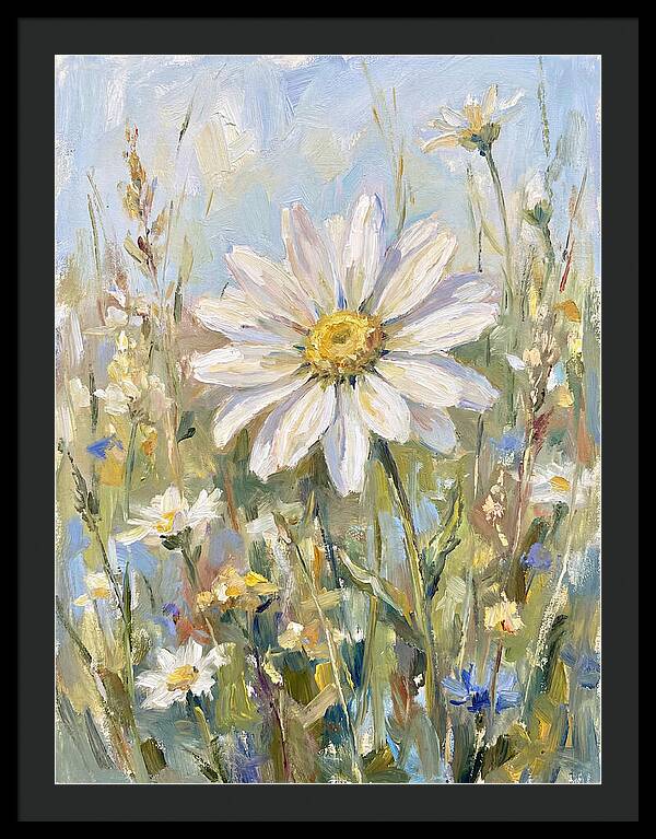 White Daisy In Bloom