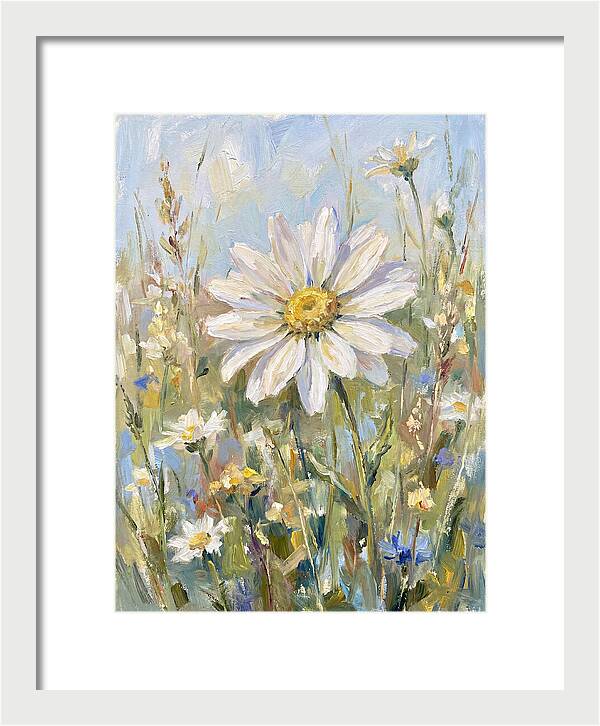 White Daisy In Bloom