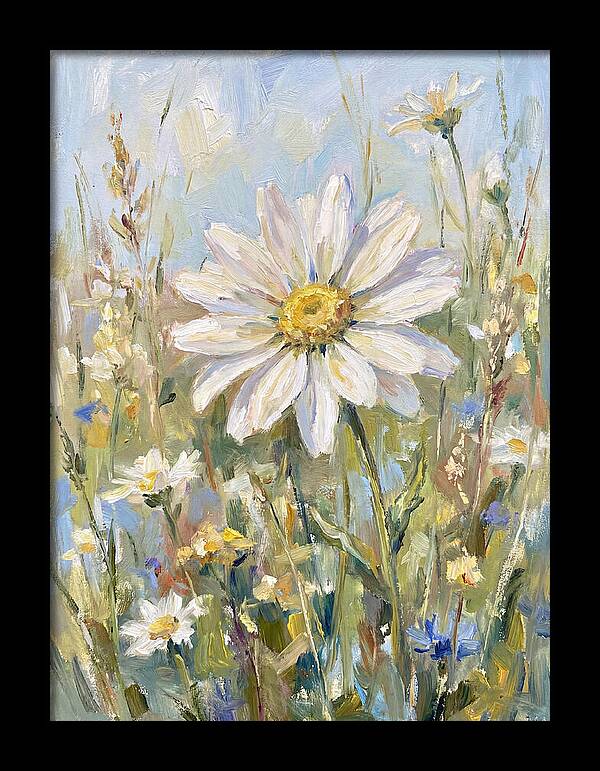 White Daisy In Bloom