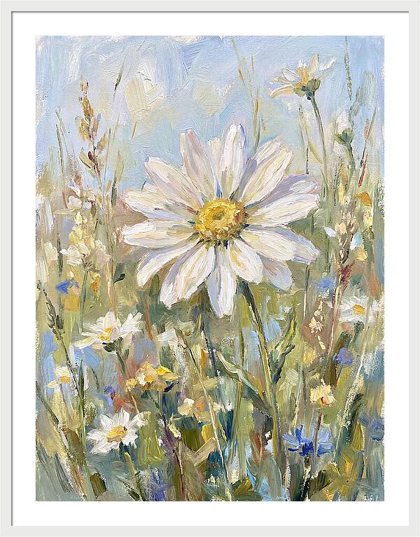 White Daisy In Bloom