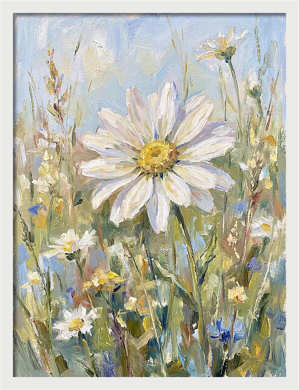 White Daisy In Bloom