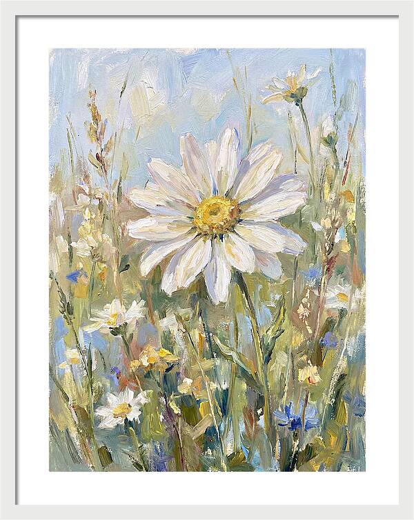 White Daisy In Bloom