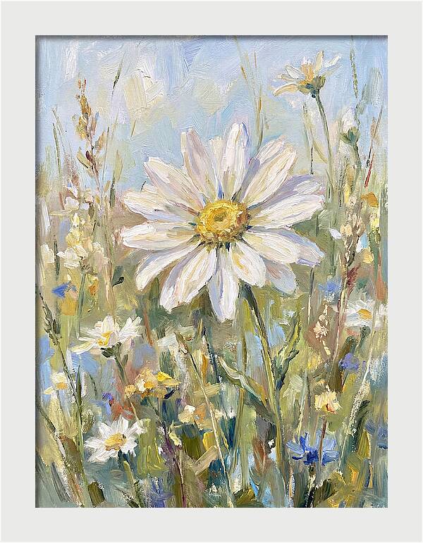 White Daisy In Bloom