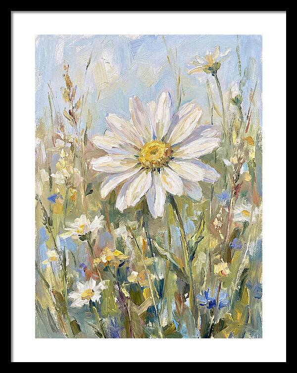 White Daisy In Bloom