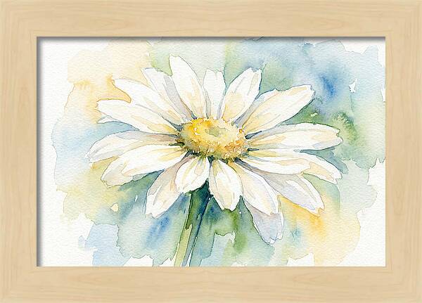 White Daisy Watercolor Bloom