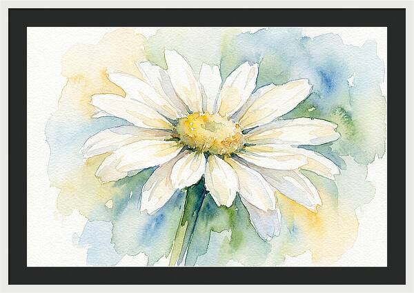 White Daisy Watercolor Bloom