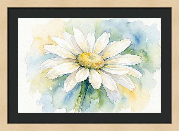 White Daisy Watercolor Bloom