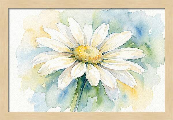 White Daisy Watercolor Bloom