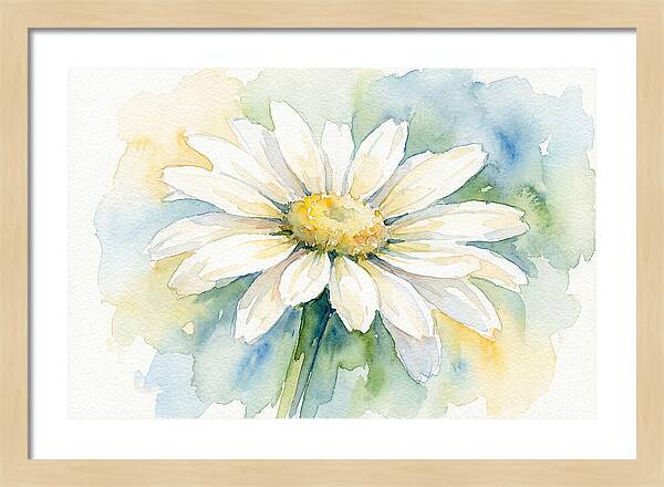 White Daisy Watercolor Bloom