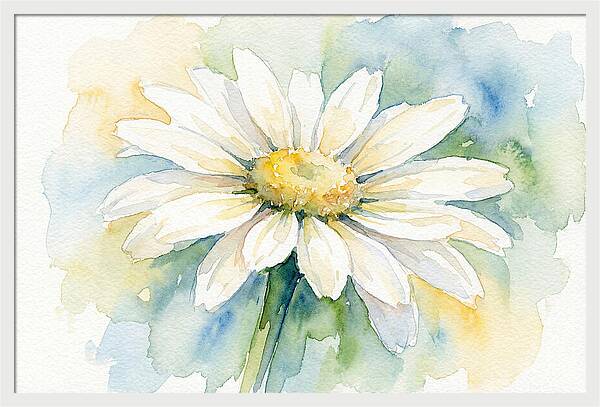 White Daisy Watercolor Bloom