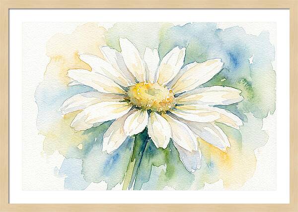White Daisy Watercolor Bloom