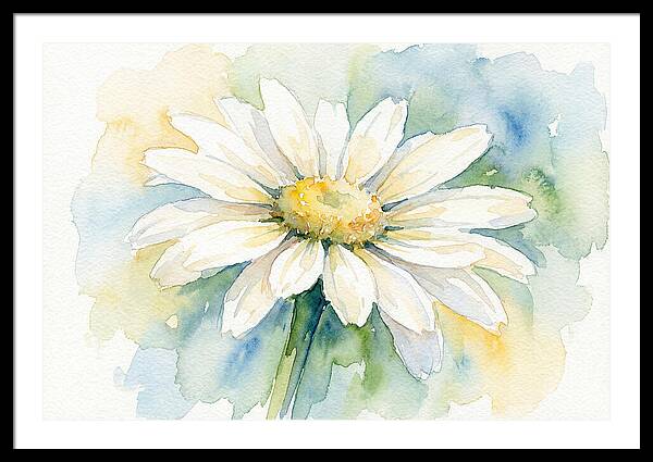 White Daisy Watercolor Bloom