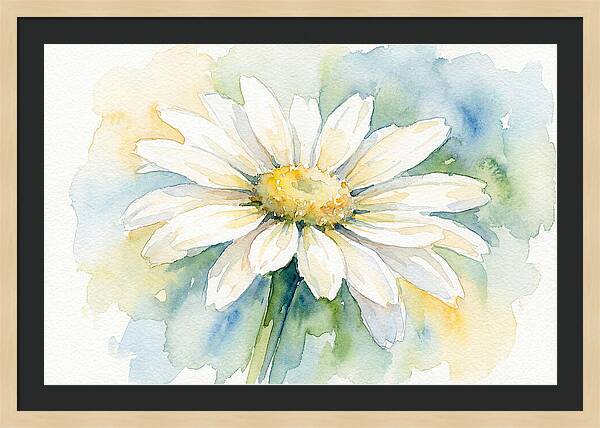 White Daisy Watercolor Bloom