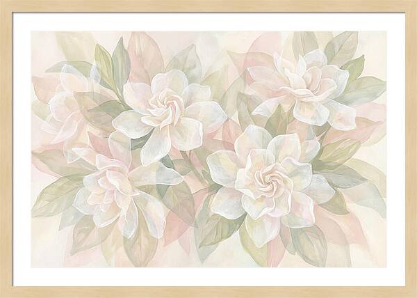 White Gardenias In Soft Bloom