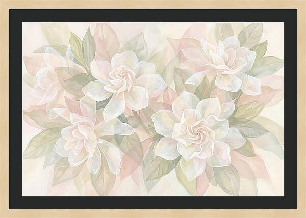 White Gardenias In Soft Bloom