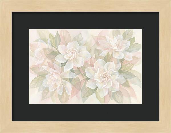White Gardenias In Soft Bloom