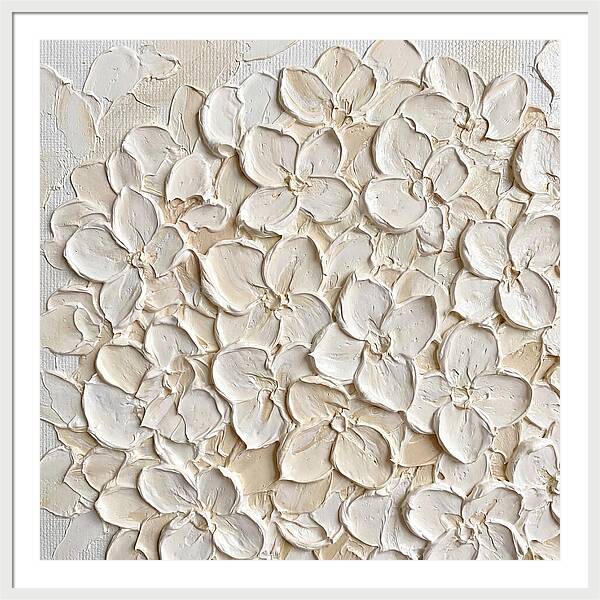 White Hydrangea Bloom