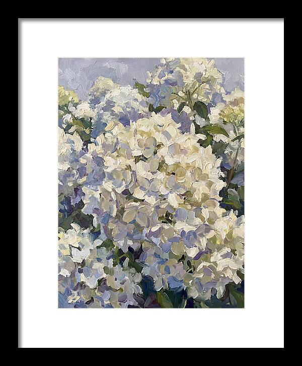 White Hydrangea Blooms
