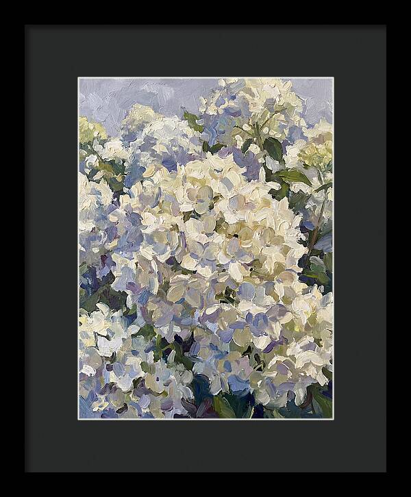 White Hydrangea Blooms