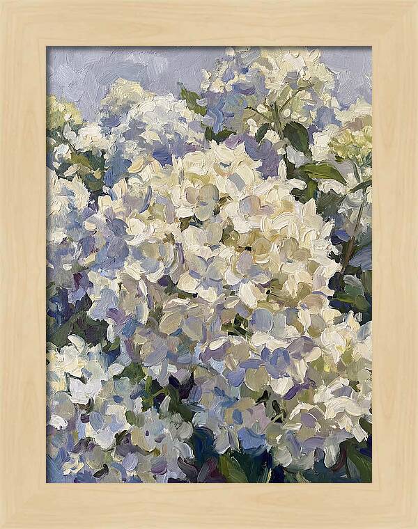 White Hydrangea Blooms