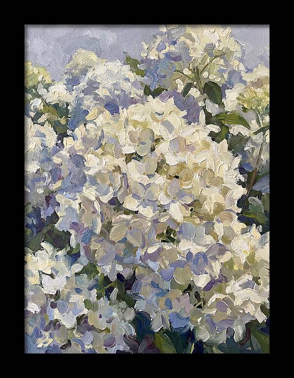 White Hydrangea Blooms